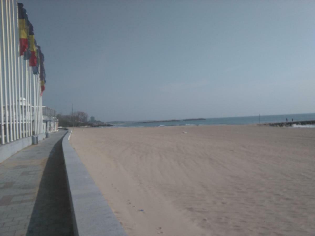 Pensiunea Scoika Steaguri Neptun Exterior foto