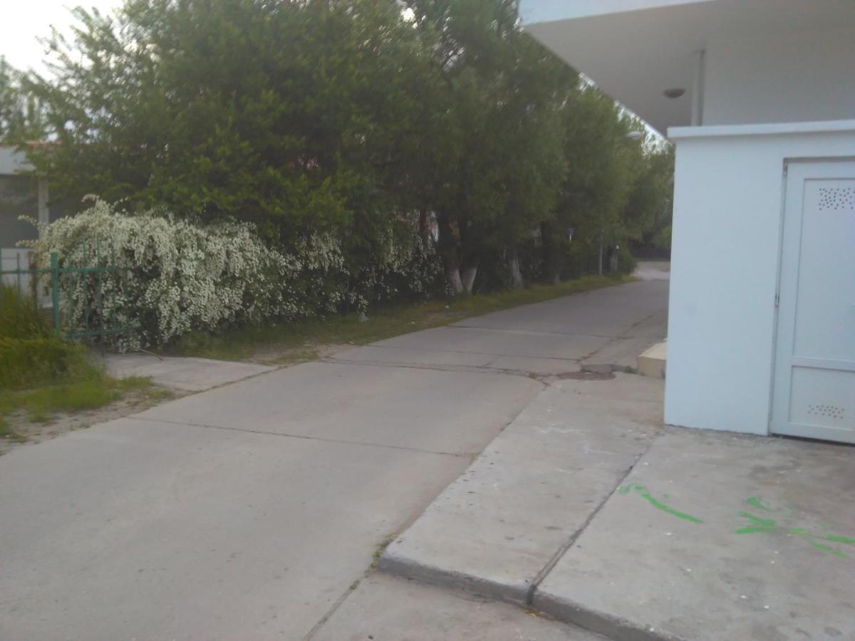 Pensiunea Scoika Steaguri Neptun Exterior foto